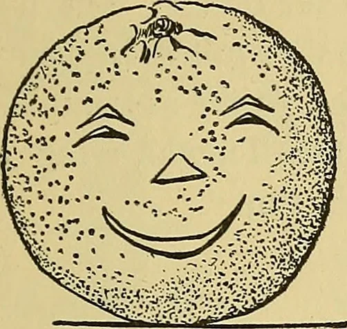 An illustration from Things worth doing and how to do them, 1906, leaf 126