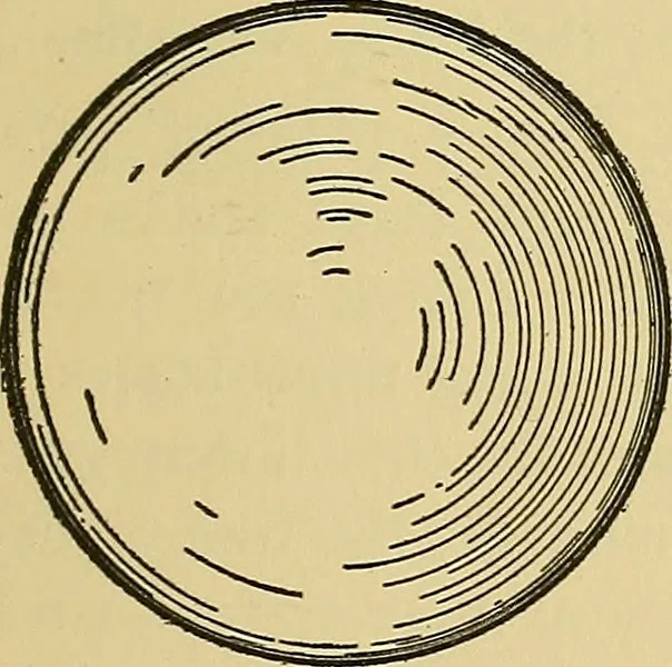 An illustration from Things worth doing and how to do them, 1906, leaf 140