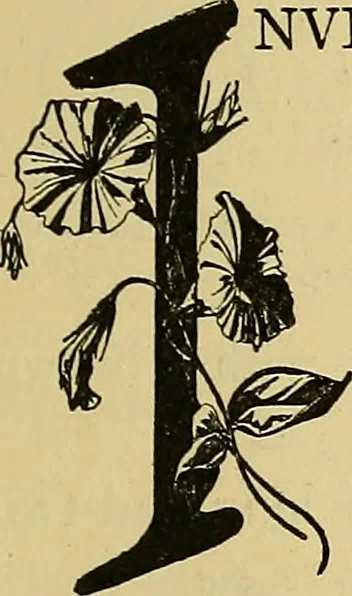 An illustration from Things worth doing and how to do them, 1906, leaf 158