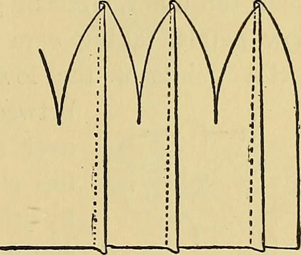 An illustration from Things worth doing and how to do them, 1906, leaf 158