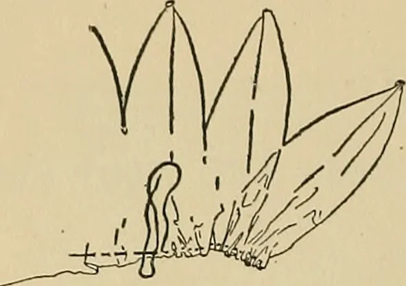 An illustration from Things worth doing and how to do them, 1906, leaf 159