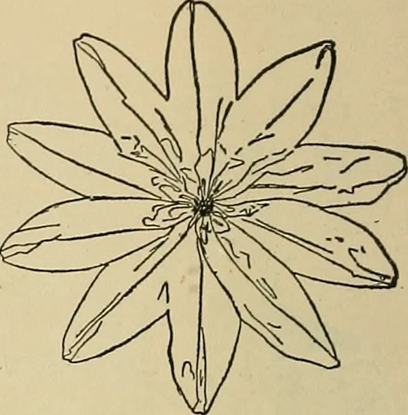 An illustration from Things worth doing and how to do them, 1906, leaf 159