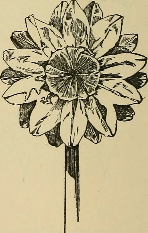 An illustration from Things worth doing and how to do them, 1906, leaf 159