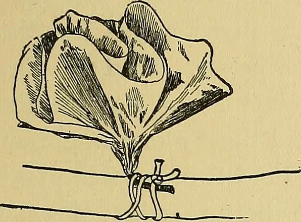 An illustration from Things worth doing and how to do them, 1906, leaf 160