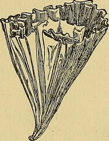 An illustration from Things worth doing and how to do them, 1906, leaf 160