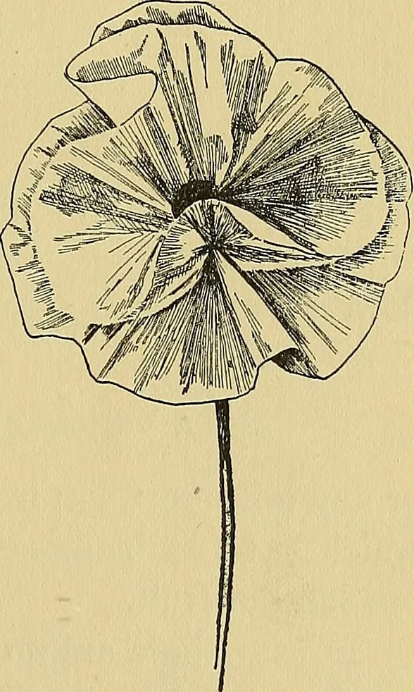 An illustration from Things worth doing and how to do them, 1906, leaf 160