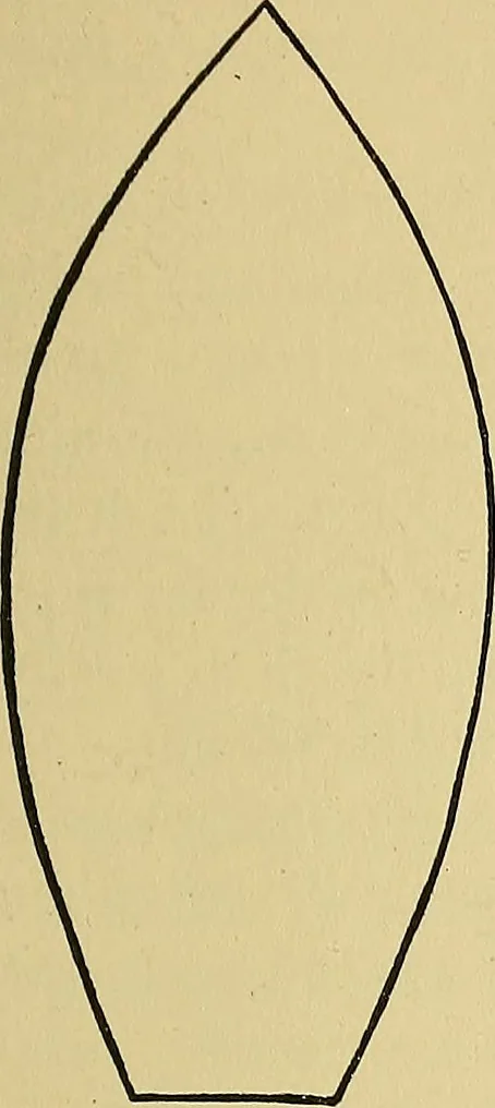 An illustration from Things worth doing and how to do them, 1906, leaf 162