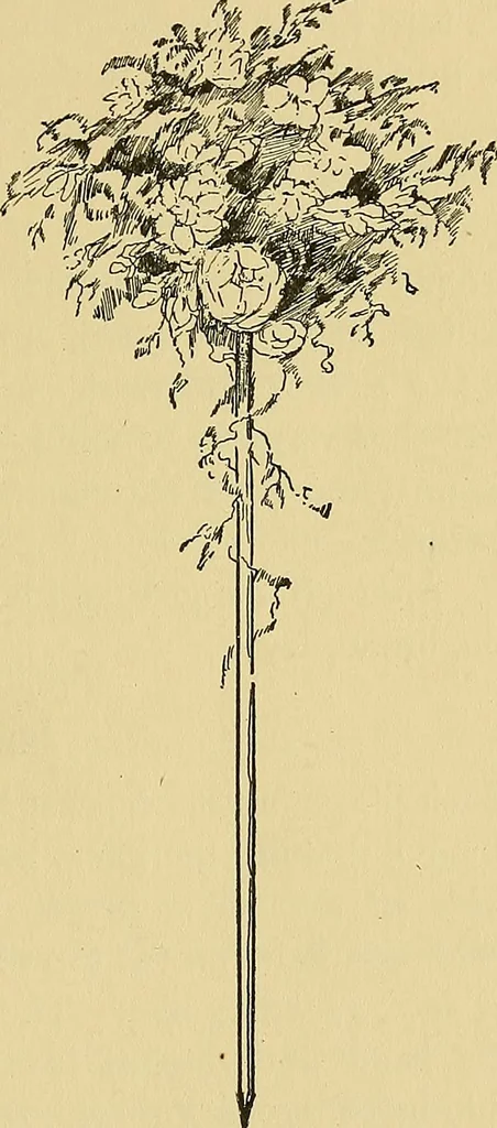 An illustration from Things worth doing and how to do them, 1906, leaf 164