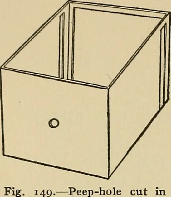 An illustration from Things worth doing and how to do them, 1906, leaf 169