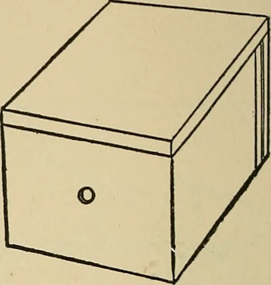 An illustration from Things worth doing and how to do them, 1906, leaf 169