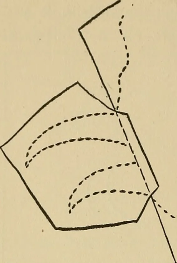 An illustration from Things worth doing and how to do them, 1906, leaf 171