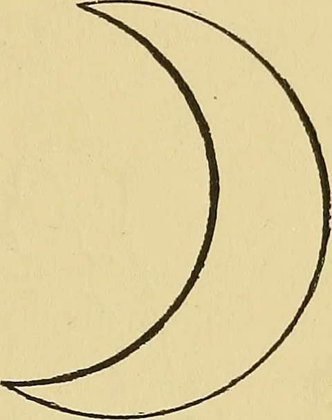 An illustration from Things worth doing and how to do them, 1906, leaf 172