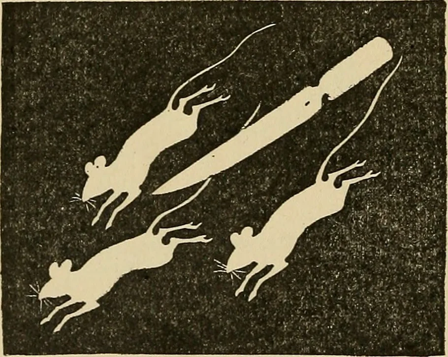 An illustration from Things worth doing and how to do them, 1906, leaf 175