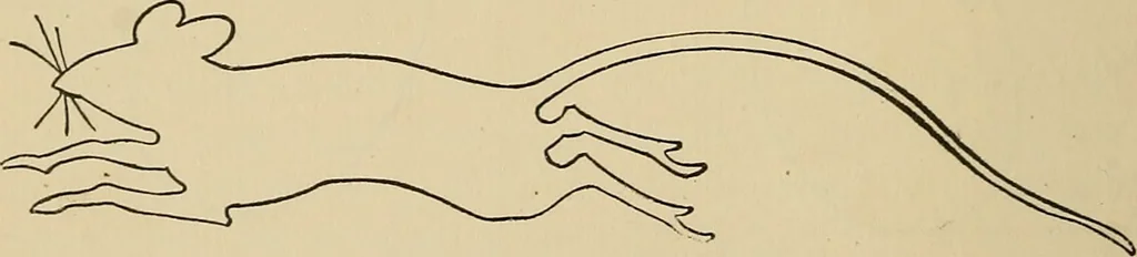 An illustration from Things worth doing and how to do them, 1906, leaf 175