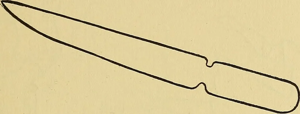 An illustration from Things worth doing and how to do them, 1906, leaf 176