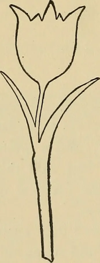 An illustration from Things worth doing and how to do them, 1906, leaf 179