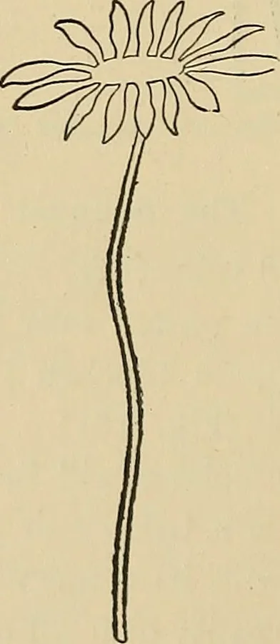 An illustration from Things worth doing and how to do them, 1906, leaf 179