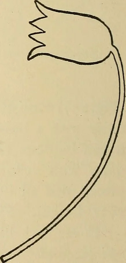 An illustration from Things worth doing and how to do them, 1906, leaf 179
