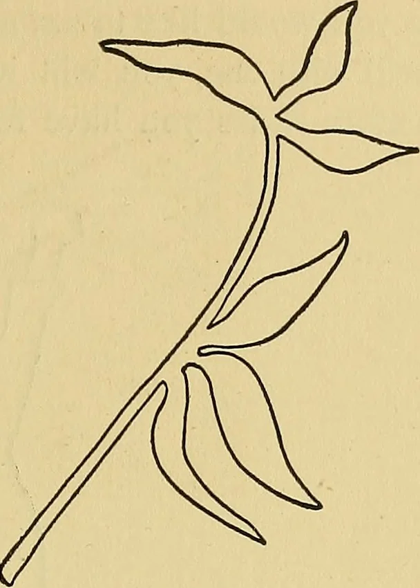 An illustration from Things worth doing and how to do them, 1906, leaf 180