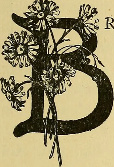 An illustration from Things worth doing and how to do them, 1906, leaf 184
