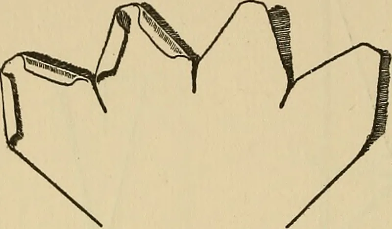An illustration from Things worth doing and how to do them, 1906, leaf 187