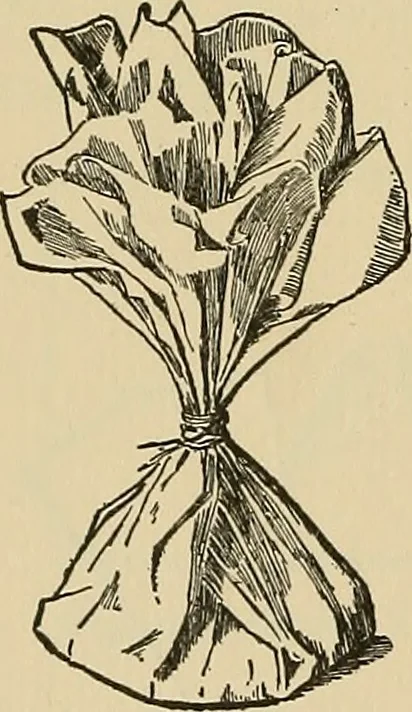 An illustration from Things worth doing and how to do them, 1906, leaf 187