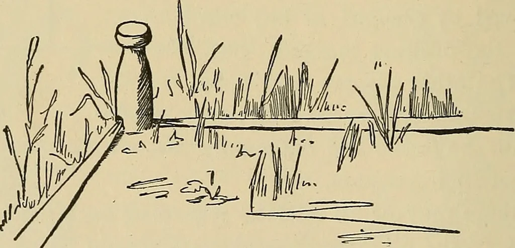 An illustration from Things worth doing and how to do them, 1906, leaf 189