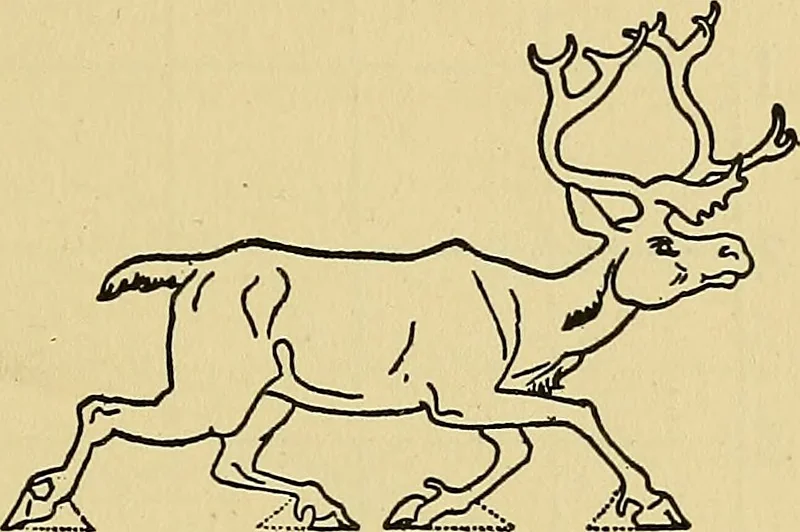 An illustration from Things worth doing and how to do them, 1906, leaf 196