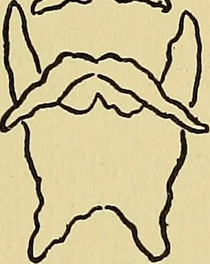 An illustration from Things worth doing and how to do them, 1906, leaf 200