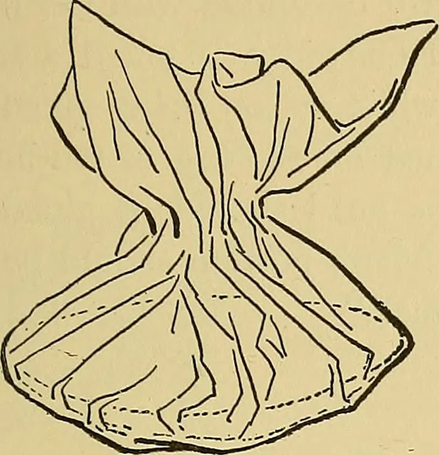 An illustration from Things worth doing and how to do them, 1906, leaf 202