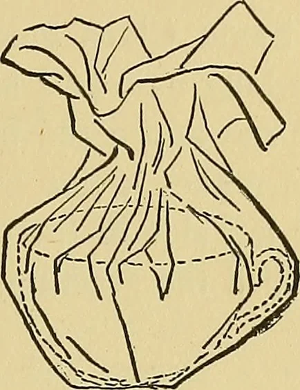 An illustration from Things worth doing and how to do them, 1906, leaf 202