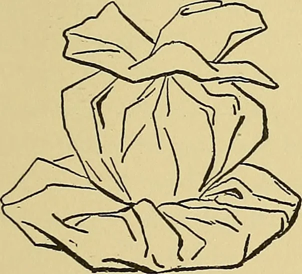 An illustration from Things worth doing and how to do them, 1906, leaf 202