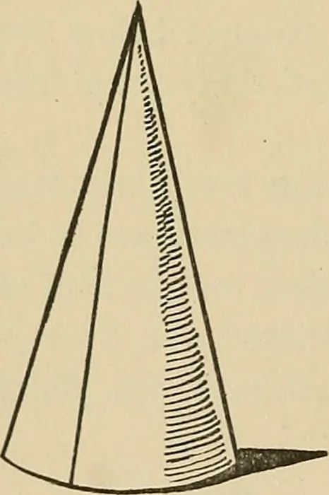 An illustration from Things worth doing and how to do them, 1906, leaf 205