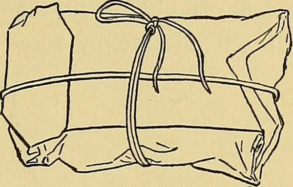 An illustration from Things worth doing and how to do them, 1906, leaf 212