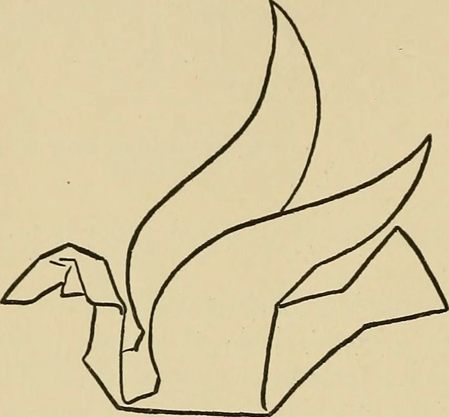 An illustration from Things worth doing and how to do them, 1906, leaf 213
