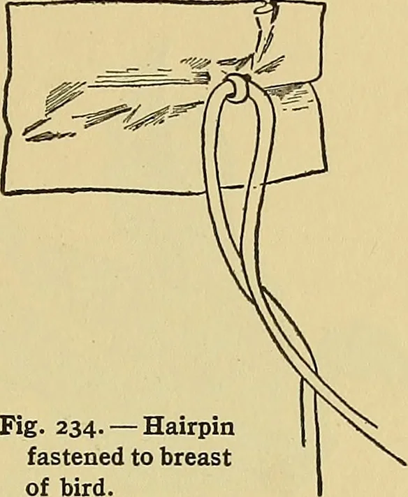 An illustration from Things worth doing and how to do them, 1906, leaf 214