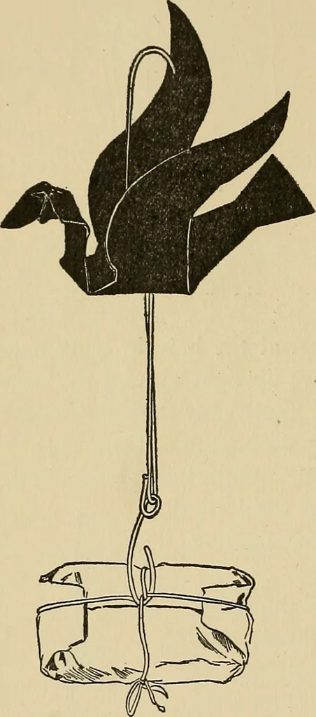 An illustration from Things worth doing and how to do them, 1906, leaf 215