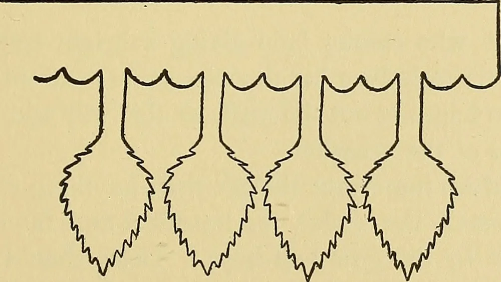 An illustration from Things worth doing and how to do them, 1906, leaf 222