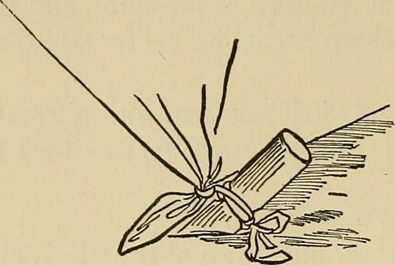 An illustration from Things worth doing and how to do them, 1906, leaf 229