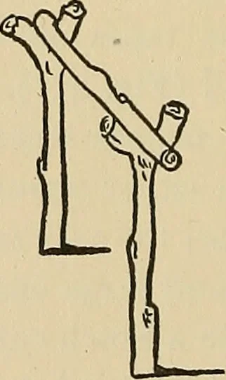 An illustration from Things worth doing and how to do them, 1906, leaf 229