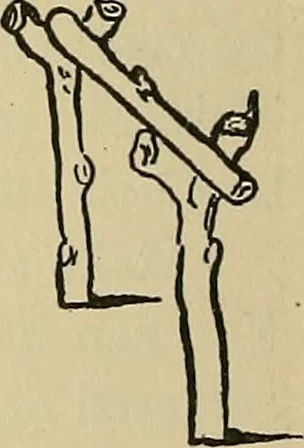 An illustration from Things worth doing and how to do them, 1906, leaf 229