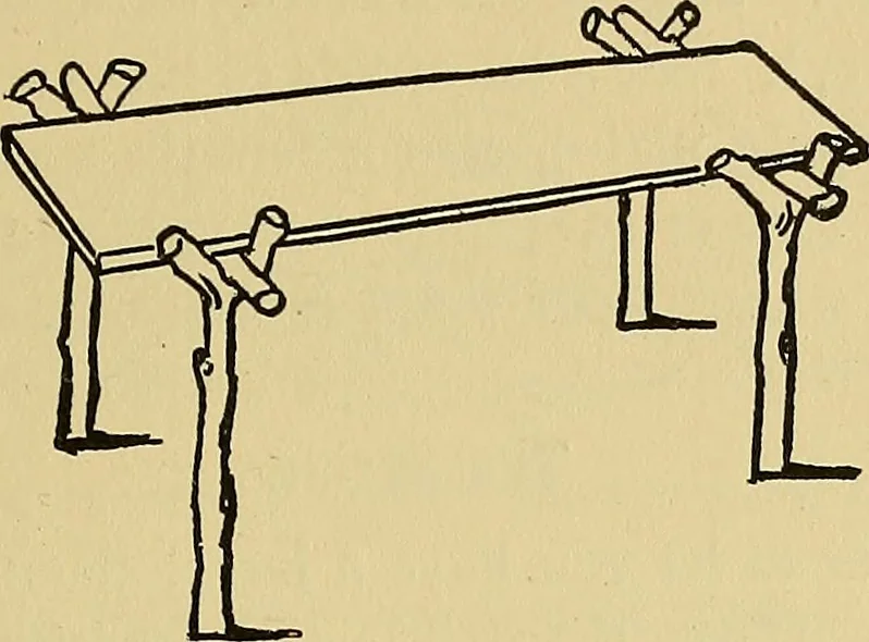 An illustration from Things worth doing and how to do them, 1906, leaf 230