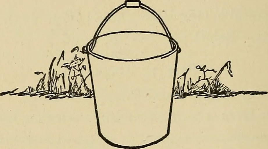 An illustration from Things worth doing and how to do them, 1906, leaf 231