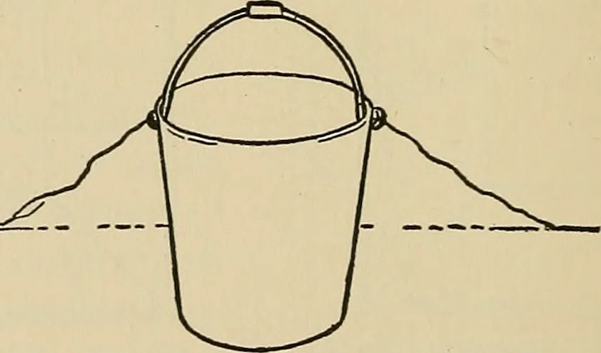 An illustration from Things worth doing and how to do them, 1906, leaf 231