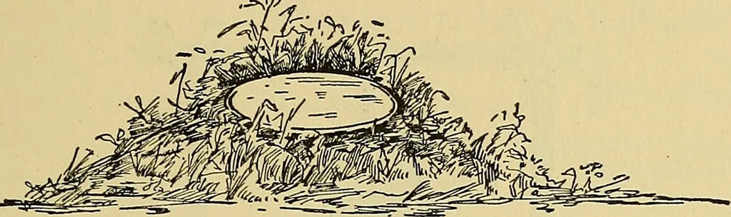 An illustration from Things worth doing and how to do them, 1906, leaf 232