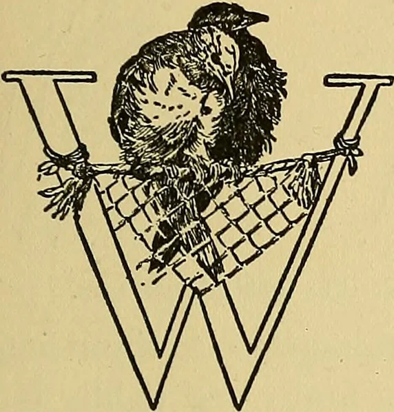An illustration from Things worth doing and how to do them, 1906, leaf 238