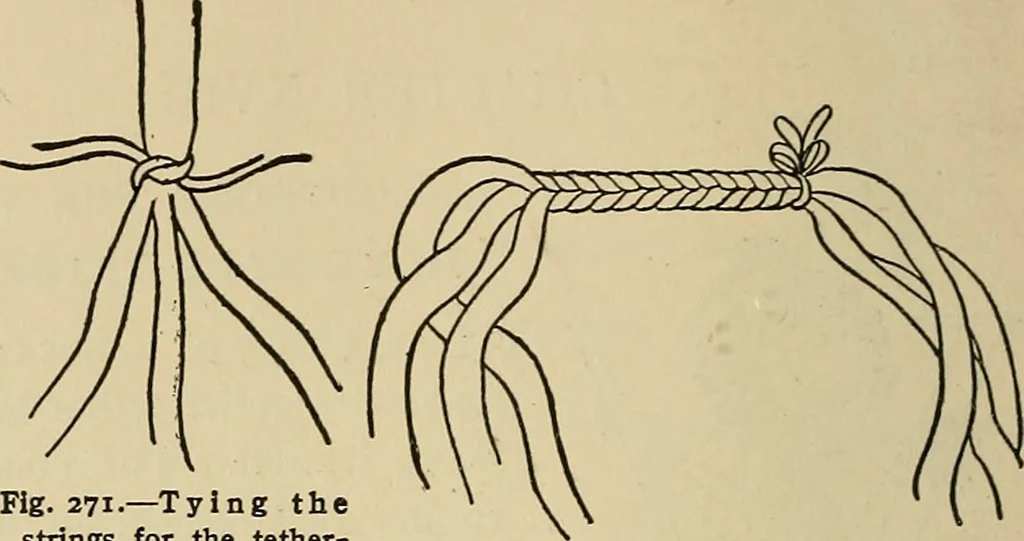 An illustration from Things worth doing and how to do them, 1906, leaf 239