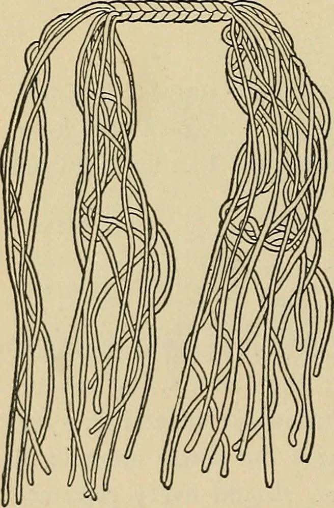 An illustration from Things worth doing and how to do them, 1906, leaf 239