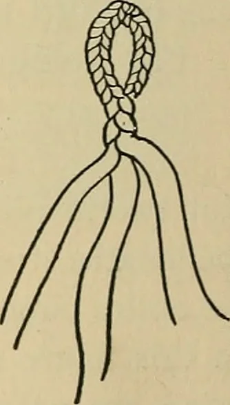 An illustration from Things worth doing and how to do them, 1906, leaf 239
