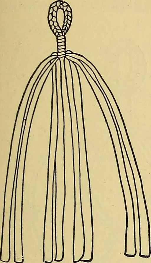 An illustration from Things worth doing and how to do them, 1906, leaf 240